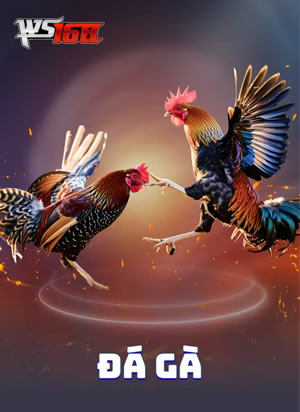 Trò Chơi Jet