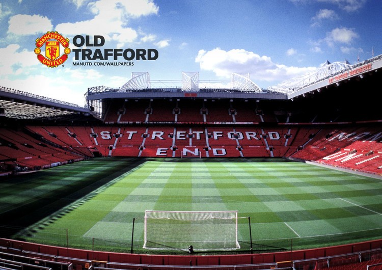 在近几十年 在近几十年